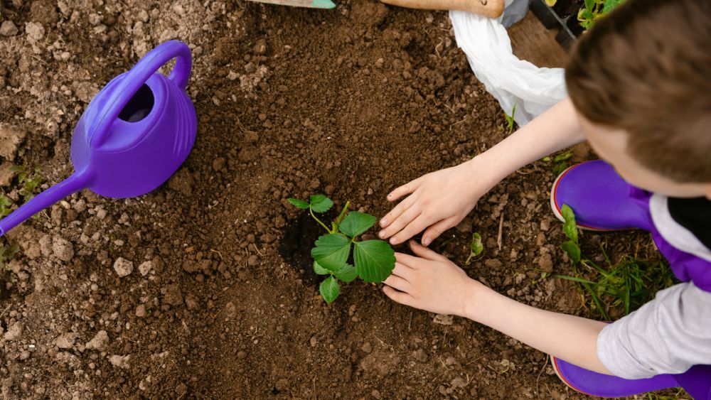 Engagements écologiques C2R Menuiserie